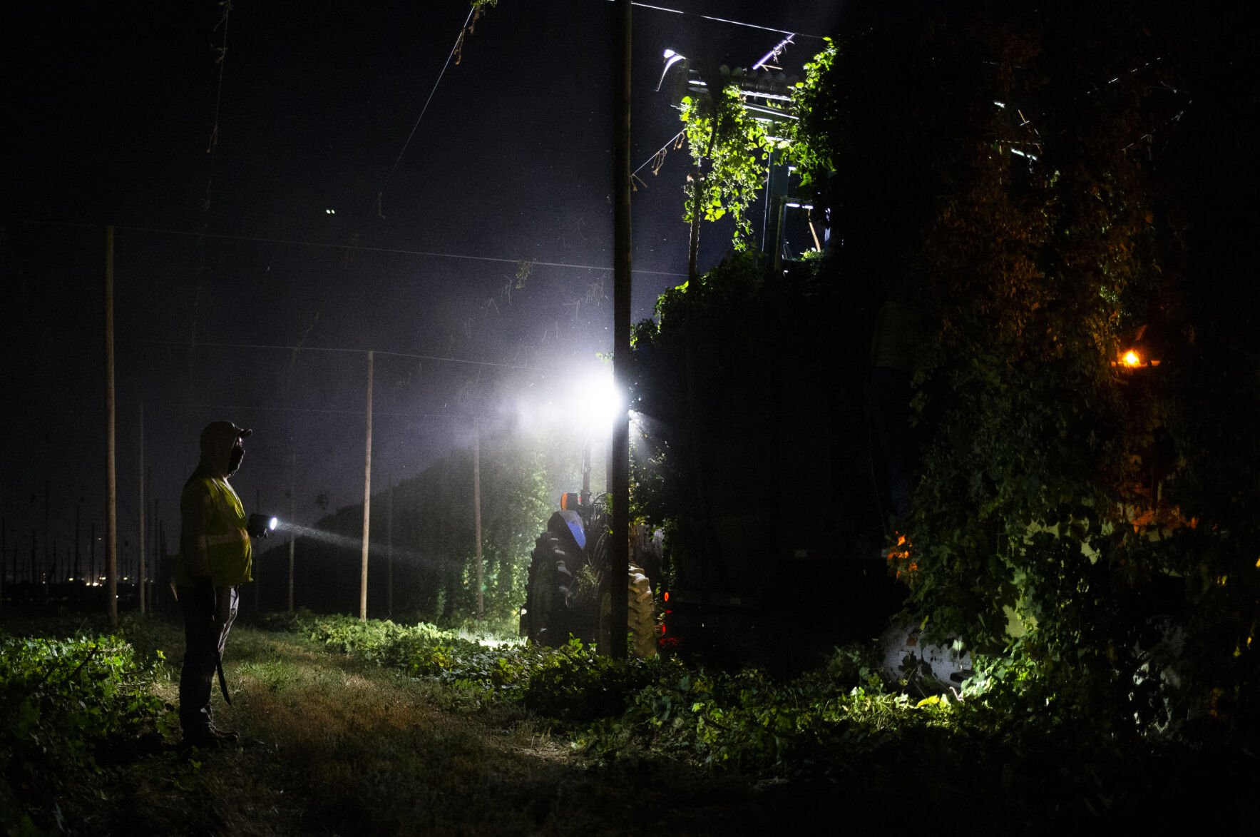 Night Hop Harvest at Morrier Ranch